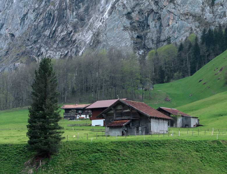 Discover <br/>our cottages & choose <br/>the right one for you