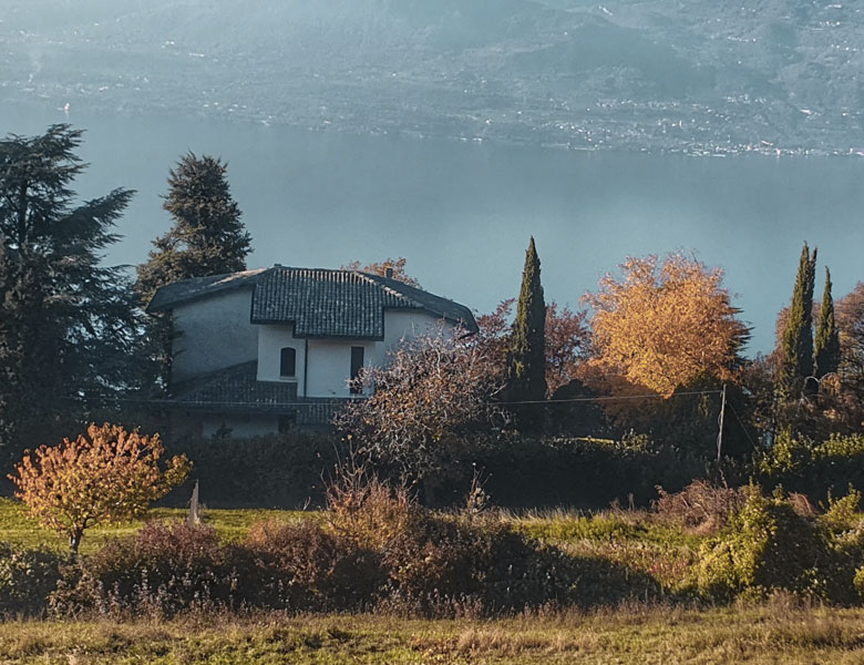 Discover <br/>our cottages & choose <br/>the right one for you